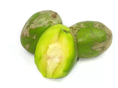 Top 8 công dụng bất ngờ của Quả cóc