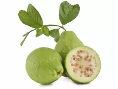 Top 5 loại trái cây tốt nhất để giảm cân