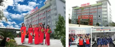 Top 10 trường cao đẳng dạy ngành công nghệ thông tin dễ xin được việc nhất miền Bắc
