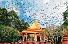 Top 5 địa điểm tham quan tuyệt vời phải đến khi du lịch Sóc Trăng