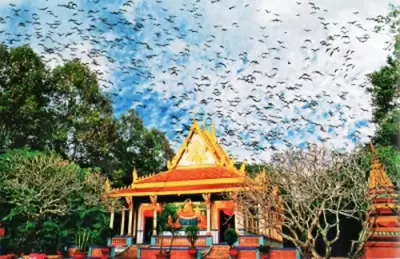 Top 5 địa điểm tham quan tuyệt vời phải đến khi du lịch Sóc Trăng