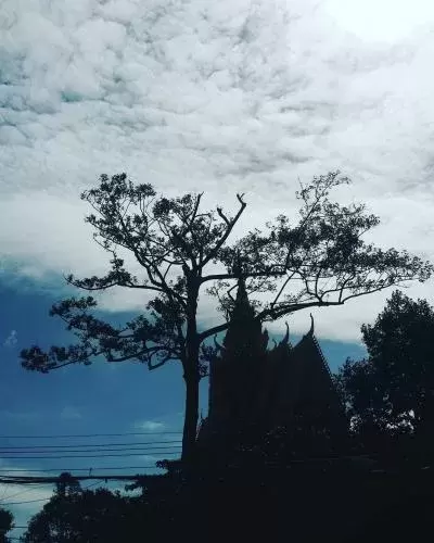 Top 5 địa điểm tham quan phải đến khi du lịch Trà Vinh