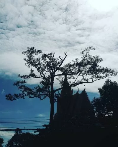 Top 5 địa điểm tham quan phải đến khi du lịch Trà Vinh