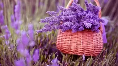 Top 10 cách giúp bạn lấy lại sự tinh thần nhanh chóng