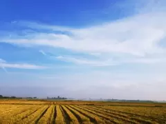 Top 9 việc giúp giảm căng thẳng cực hiệu quả