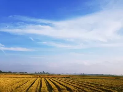 Top 9 việc giúp giảm căng thẳng cực hiệu quả