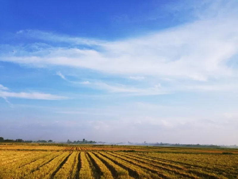 Top 9 việc giúp giảm căng thẳng cực hiệu quả
