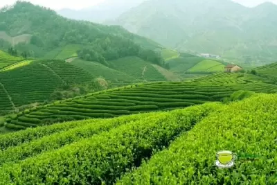 Top 10 nơi phải đến nếu du lịch tại Thái Nguyên
