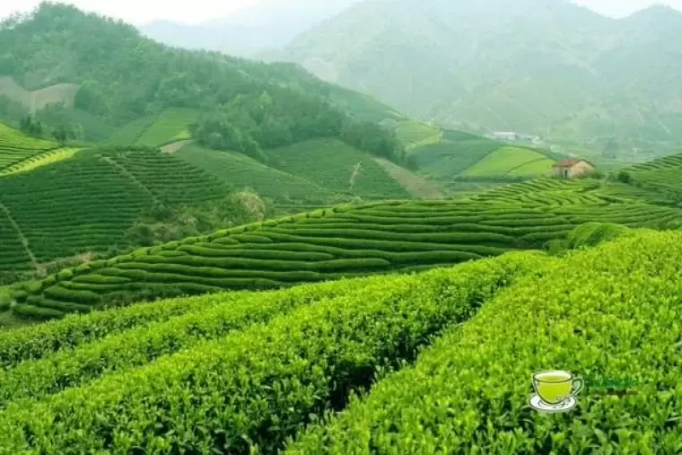 Top 10 nơi phải đến nếu du lịch tại Thái Nguyên