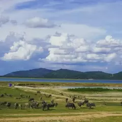 Top 5 địa điểm tham quan phải đến khi du lịch Tây Ninh