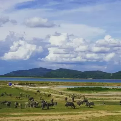 Top 5 địa điểm tham quan phải đến khi du lịch Tây Ninh