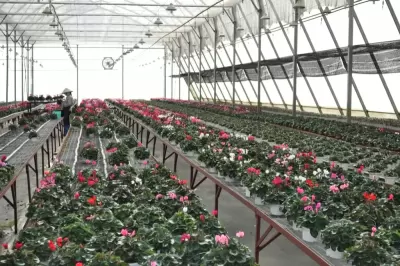 Top 5 công việc làm thêm tuyệt vời cho học sinh, sinh viên Đà Lạt