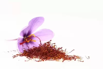 Top 6 loại thực phẩm đặc biệt hiếm thấy nhất trên thế giới