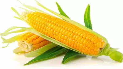 Top 8 công dụng của rau diếp cá đối với sức khỏe của phụ nữ đang mang thai