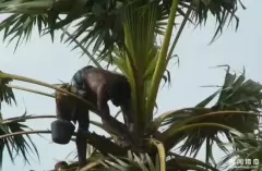Top 9 công việc kỳ quặc nhưng có mức lương khó tin