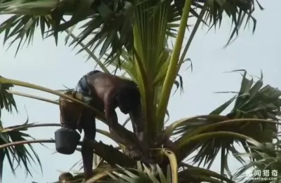 Top 9 công việc kỳ quặc nhưng có mức lương khó tin