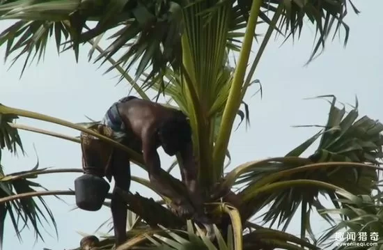 Top 9 công việc kỳ quặc nhưng có mức lương khó tin