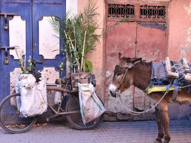 Fes-el-Bali, Ma-rốc
