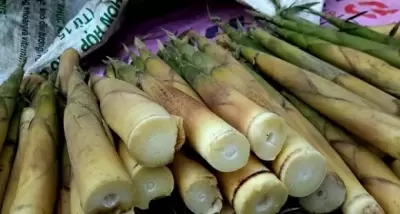 Top 5 thực phẩm vô cùng độc tuyệt đối không nên ăn sống