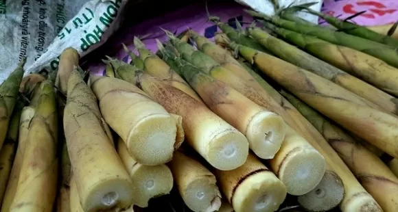 Top 5 thực phẩm vô cùng độc tuyệt đối không nên ăn sống