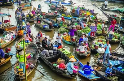 Top 10 địa điểm tham quan phải đến khi du lịch Tây Nam Bộ