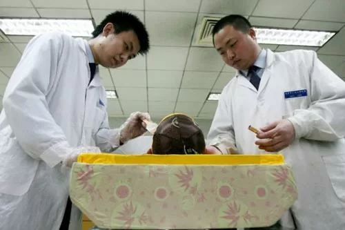 Top 5 công việc "hái ra tiền" không cần tới bằng Đại Học