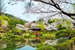 Top 5 địa điểm tuyệt đẹp nên đến khi du lịch ở Hàn Quốc
