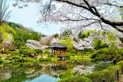 Top 5 địa điểm tuyệt đẹp nên đến khi du lịch ở Hàn Quốc