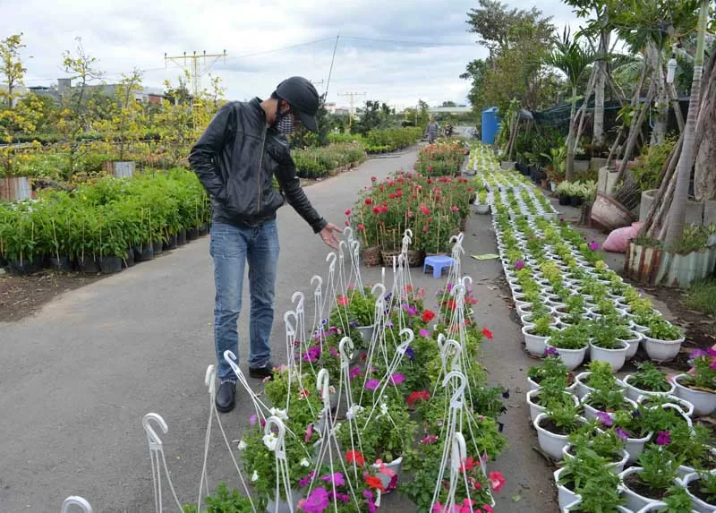 TOP 5 việc làm thời vụ hái ra tiền vào dịp Tết Nguyên Đán