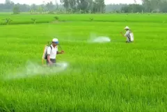 Top 9 ngành học thuộc lĩnh vực nông lâm nghiệp và thủy sản hot nhất hiện nay
