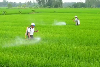 Top 9 ngành học thuộc lĩnh vực nông lâm nghiệp và thủy sản hot nhất hiện nay