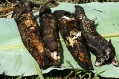 TOP 8 món ngon nổi tiếng đặc sản An Giang