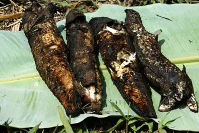 TOP 8 món ngon nổi tiếng đặc sản An Giang
