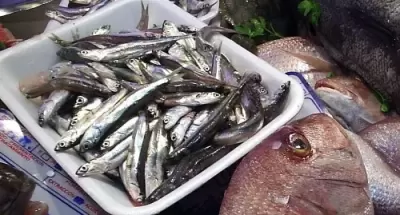 TOP 7 điều kỳ lạ ở Trung Quốc có thể bạn chưa biết tới