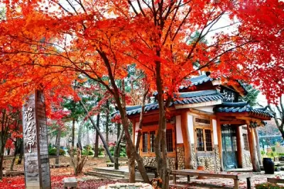 Top 5 địa điểm tham quan du lịch đẹp nhất vào mùa thu ở Hàn Quốc