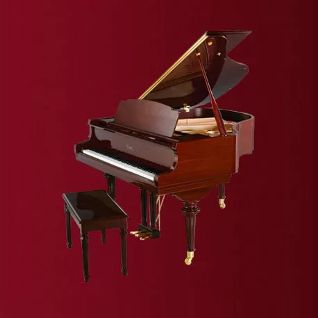 Top 5 mẫu Piano Grand Essex nổi bật , tốt nhất hiện nay