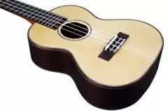 Top 5 mẫu đàn Ukelele Tenor tốt nhất hiện nay