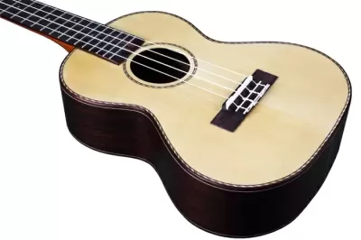Top 5 mẫu đàn Ukelele Tenor tốt nhất hiện nay