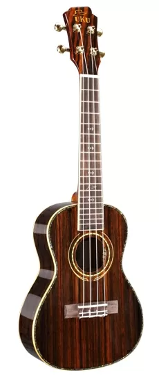 Top 5 mẫu đàn Ukelele Concert tốt nhất hiện nay