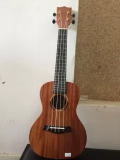 Top 5 mẫu đàn Ukelele Concert giá rẻ tốt nhất hiện nay