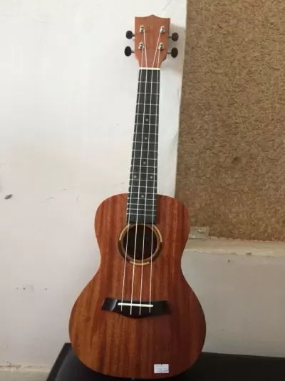 Top 5 mẫu đàn Ukelele Concert giá rẻ tốt nhất hiện nay