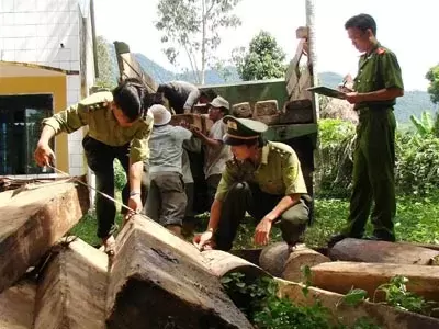 Top 8 nghề ngành Nông - Lâm - Ngư nghiệp hot nhất hiện nay