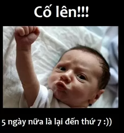 Top 10 câu nói siêu hài hước ở trên mạng