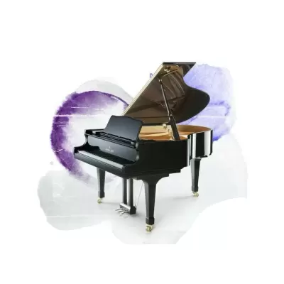 Top 5 mẫu đàn Piano Shigeru tốt nhất hiện nay