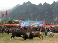 Top 7 lễ hội truyền thống lớn và nổi tiếng nhất ở Cao Bằng