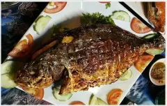 Top 8 loại hải sản giàu chất dinh dưỡng nhất cho cơ thể