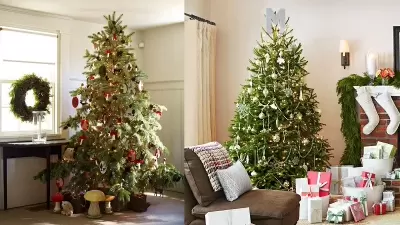 Top 5 việc làm thú vị vào ngày lễ Giáng Sinh