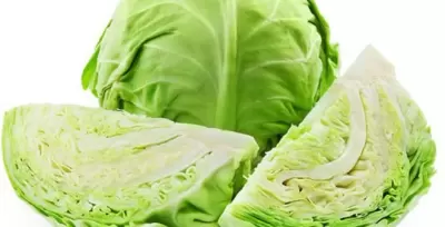 Top 5 công dụng rất hay từ rau bắp cải