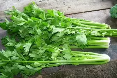 Top 5 công dụng đặc biệt từ rau cần tây