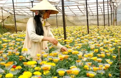 Top 7 công việc tốt cho sức khỏe mà bạn nên làm mỗi ngày